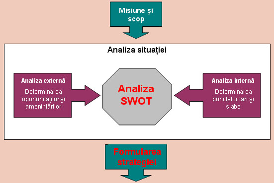 Figura 2 - Analiza situatiei