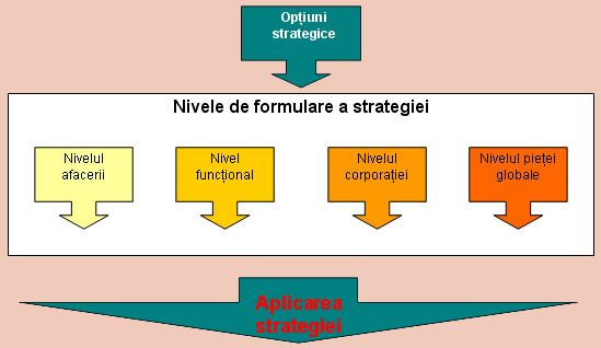 Figura 3 - Formularea strategiei