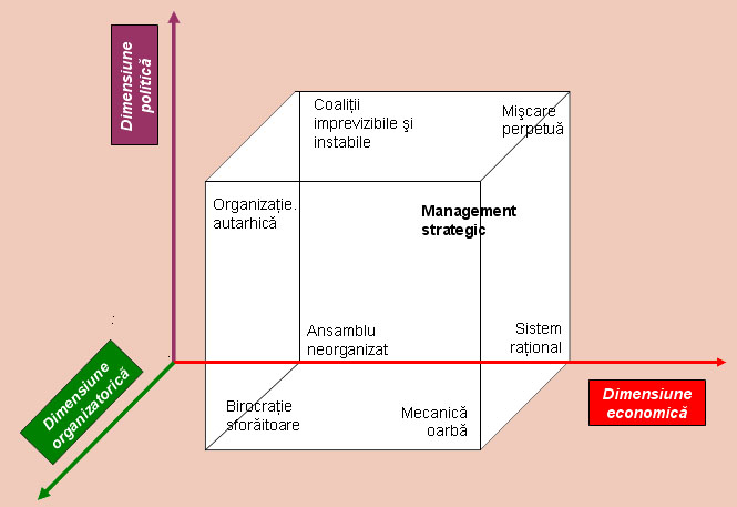 Figura 5 - Procesul tripolar al managementului strategic si sindroamele sale